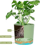 QCQHDU 5 inch Plant Pot, 2 Pack Planters for Indoor Plants with Drainage Holes & Saucer, Outdoor Flower Pots Home Garden Modern Decor by GreenHaven Gardens