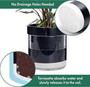 Phoenix Vine 8 Inch Self Watering Terracotta Planter, Black Terracotta Clay Pot with Glass Reservoir for Indoor Plants, Herbs, Flowers, Set of 1, 52-C-H-1 by GreenHaven Gardens