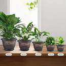Plastic-Plant-Flower-Planters-16 Inch with Drainage Hole & Saucer, 3 Packs Lightweight Small Resin Flower Pot Indoor Outdoor, Retro Antique Imitation Decorative Garden Containers Sets for Houseplants by CozyNest Decor