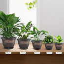 Plastic-Plant-Flower-Planters-16 Inch with Drainage Hole & Saucer, 3 Packs Lightweight Small Resin Flower Pot Indoor Outdoor, Retro Antique Imitation Decorative Garden Containers Sets for Houseplants by GreenHaven Gardens