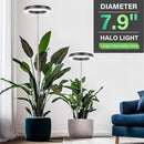 LORDEM Grow Light for Indoor Plants, 7.9" Full Spectrum LED Plant Grow Light, Height Adjustable Growing Lamp with Auto Timer 4H/8H/12H, 6 Dimmable Levels, Ideal for Large Tall Plants, 2 Packs, Black by GreenHaven Gardens