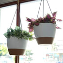 10 Inch Self Watering Hanging Pots, 2 Pack Hanging Planters with 40oZ Deep Reservior for Indoor Outdoor Plants Flowers, White with Brown by GreenHaven Gardens