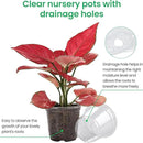 36 Packs 6.7/5/4/3.5 Inch Reinforced Clear Nursery Pots with Drainage Hole, Transparent Variety Pack Plastic Plant Pot Seedling Planter Seed Starter Flower by GreenHaven Gardens