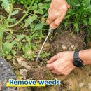 Berry&Bird Garden Hook Weeder, L-Shape Single Claw Hook Crack Weeder for Crevice Weeding and Soil Loosening, Garden Digging Cultivator Weed Remover Tool for Garden Patio Lawn Yard Moss Terrace Paving by GreenHaven Gardens