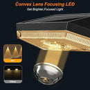 Ellasay Solar Powered Lights for Fence: 10 Lighting Modes with RGB - Waterproof IP65 - Bright Lens LED for Outdoor Wall Garden Deck Patio Porch Yard Pool 16 Pack by GreenHaven Gardens