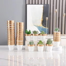 Yishang 72 pcs Small Mini White&Gold Clay Pots, 2.5'' Terracotta Pot Clay Ceramic Pottery Planter,Cactus Flower Terra Cotta Pots,Succulents Nursery Pots,with Drainage Hole,for Crafts,Wedding Favor by GreenHaven Gardens