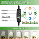 Grow Lights for Indoor Plants, Full Spectrum LED Tabletop Plant Lights for Indoor Growing, Dual-Head Gooseneck Plant Lamp with 5 Dimmable & Auto On/Off 4/8/12/18H Timer, Height Adjustable 9.8-25'' by GreenHaven Gardens
