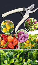 Garden Flower Shears Pruning Shears 6.9 inches Straight and Bypass Scissors Heavy Duty Plant Scissors for Cutting Flowers, Trimming Plants, Bonsai, Fruits Picking (White handle Straight and Bypass) by GreenHaven Gardens