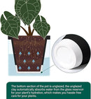 D'vine Dev 8 Inch Design Self Watering Planter for Indoor Plants, Black Terracotta Pot with Cylinder Glass Cup, 37-X-C-3 by GreenHaven Gardens
