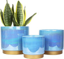 Gepege Ceramic Pots for Plants, Rainbow Pearl Glaze Planter with Drainage Hole, 6.0 inch+5.0 Inch+4.0 Inch. Indoor-Outdoor Large Round Succulent Orchid Flower Pot by GreenHaven Gardens