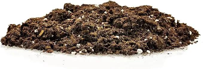 Money Tree Potting Soil - 20 Quart - Soil Mix for Planting or Repotting Guiana Chestnut, Soil Blended to Properly Grow Money Tree Plants (4 Bags of 5 Quart), photo 5 of 6