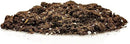 Money Tree Potting Soil, Soil Mix for Planting or Repotting Guiana Chestnut, Soil Blended to Properly Grow Money Tree Plants - (1 Quart Bag) by GreenHaven Gardens