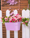 vensovo Metal Railing Planter for Outdoor Plants - 3 Pack Balcony Hanging Flower Pots with Detachable Hooks and Drain Holes Oval Bucket Rail Box Fence Planters for Home Garden Decor, Purple Pink Blue by GreenHaven Gardens