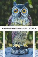 Galashield Owl Decoy | Plastic Owls to Scare Birds Away | Owl Statue for Garden & Outdoors - Pack of 3 by GreenHaven Gardens