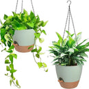 Hanging Planters for Indoor Outdoor Plants, 2 Pack Self Watering Hanging Pot with Drainage Holes & Removable Tray (Green, 6'') by GreenHaven Gardens