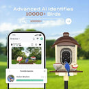Bird Feeder with Camera, 2K HD Live Video, Smart Bird Cam Solar Powered with AI Birds Species Identification, Auto Capture Video, Instant Arrival Alerts, Best Gifts for Mom Dad by CozyNest Decor
