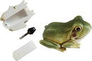 Hide a Key Frog Hand Painted Polyresin Outdoor Statue and Key Holder,Look and Feels Like a Real Frog for Yard,Garden,Patio by GreenHaven Gardens