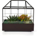 Large Tall Plant Terrarium Glass Greenhouse with Lid and Tray, Indoor Tabletop Orchid Succulent Cacti Kit 9.5'X9.8'X5.6' by GreenHaven Gardens