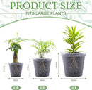Vesici Large Size Clear Nursery Pots Variety Pack Plant Pots with Drainage Holes Planters for Indoor Plants Flexible Transparent Plastic Plant Bottle Succulents(12 Pcs,6/8/10 Inch) by GreenHaven Gardens