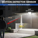 Outdoor Solar Lights,113 Powerful LED Lenses with 9000k Cool White Light, Solar Security Lights Indoor 5 Meters Long Wire, Works Upto 24 HR on Mode 3, Comes with 2 Year Warranty. by GreenHaven Gardens