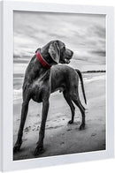VCK 18x24 Poster Frames 3 Pack White MDF Wood and Polished Plexiglass Frame,Display Pictures in Horizontal and Vertical… by CozyNest Decor