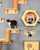 ALKB Funny Tuxedo Cat-Themed Sign 8x12 Inch - Visitor’s Guide to Interacting with Cats - Gift for Cat Lovers’ Home Decor