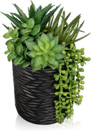 Artificial Succulents in Pots Faux Succulents Plants Fake Succulent Arrangement Potted Plants with Black Ceramic Vase for Office Desk Bathroom Shelf Living Room Indoor Home Decor Large by CozyNest Decor