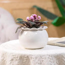 African Violet Pots 6 Inches Ceramic, Effortless Self Watering Pots for Indoor Plants for Busy Plant Lovers, Easy Plant Self Watering Pot, Plant Pots, Flower Pot, Plant pots Indoor by GreenHaven Gardens