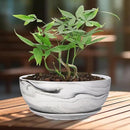 G EPGardening 10Inch Large Planter Pot Marble Pattern Ceramic Succulent Planter Big Plant Pot Succulents Container Flower Pot Indoor Outdoor Decor by GreenHaven Gardens