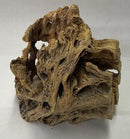 Natural Cholla Wood Chunk Air Plant Display Holders Individually Unique Decorative Stands Holder (Cholla Chunk) by GreenHaven Gardens