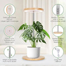 LORDEM Bamboo Grow Light, LED Plant Light for Indoor Plants Growing, Full Spectrum Bamboo Desk Growth Lamp with Automatic Timer for 4H/8H/12H, 4 Dimmable Levels, Height Adjustable by GreenHaven Gardens