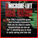 MICROBE-LIFT BSDTG1 Broad Spectrum Disease Treatment for Ponds and Outdoor Water Gardens, for Live Koi Fish, Goldfish, Plants, and Decor, 1 Gallon by GreenHaven Gardens