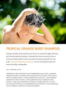 Clean Kids Naturally Tropical Shampoo- EWG Verified, All-Natural, Coconut-free, Gluten-free, Vegan, and Cruelty-free, Paraben-Free (16 Fl Oz, Orange Burst) by TinyTreasures Baby Boutique