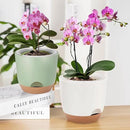 7.2 Inch Self Watering Orchid Pots for Indoor Plants,Macetas para Orqudeas,Flower Pots for Indoor Plants with Holes(White) by GreenHaven Gardens