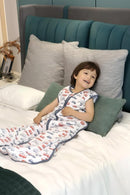 Baby Sleep Sack 2-4 T 95% Rayon from Bamboo 5% Spandex Boys & Girls Wearable Blanket 1.0 TOG Toddler Sleeping Sack 2- Way Zipper X-Large by TinyTreasures Baby Boutique