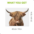 Highland Cow Wall Window Stickers Decor Scottish Cow Wall Decals Peel and Stick Funny Cow Wall Stickers Removable Cool Cow Farmhouse Kitchen Decoration Weird Gifts for Fiends Christmas by CozyNest Decor