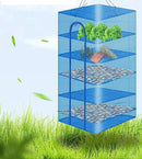 Hwayslon Hanging Drying Net Foldable Drying Rack Net Dryer 19.7"x19.7"x37.4" 6 Layer Folding Fish Mesh Collapsible Dry Net with Zippers for Fish Vegetables Drying Seeds Fruit Herb by CozyNest Decor