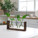 YIBOT Wall Hanging Planter Propagation Station, Plant Terrarium with Wooden Stand, Hydroponics Plants Home Office Living Room Decor Gift-3 Bulb Glass Vases by CozyNest Decor