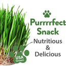 HOME GROWN 3 Cat Grass Seed Mix – Non-GMO Heirloom Oat, Alfalfa & Cat Grass Seeds | Indoor Pet Grass for Cats | High-Germination Greens for Hairball Control, Digestion, and Chewing Enrichment by GreenHaven Gardens