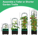 Raised Garden Bed with Self Watering Garden Pots, Planter Box with Trellis for Climbing Plants Vegetable Vine Flowers, Tomato Cage Planter for Indoor Outdoor Yard Greenhouse Use by GreenHaven Gardens