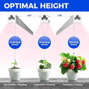 Barrina Grow Light for Indoor Plants, Full Spectrum Sunlight, 1ft Grow Lamp, LED Grow Light Bulbs, T5 Grow Light Strip, Plug and Play, Pinkish White, 4-Pack by GreenHaven Gardens