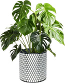 12 Inch Flower Pot Without Bracket with Drainage Holes Suitable for Indoor and Outdoor Decorative Planting (Black White Hexagon, 12 Inches) by GreenHaven Gardens