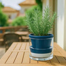 D'vine Dev 6 Inch Design Self Watering Planter for Indoor Plants, Blue Terracotta Pot with Cylinder Glass Cup, Set of 2, 37-Y-B-4 by GreenHaven Gardens