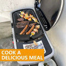 BBQ-PLUS Cooking Griddle Portable Grill Accessories for Weber 901001 Traveler Griddle, BBQ Cast Iron Grill Plate Replacement Parts for Weber Traveler Griddle Insert 7034 9030001 9013001 9010001 by GreenHaven Gardens