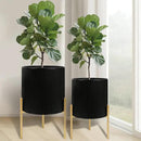 ARNIS Modern Plant Pots, Set of 2 Round Large Planters with Stand, Large Size Metal Pots with Drainage Holes for Living Room, Office, Garden or Balcony, 10.5 &12.25 Inch, Black & Gold by CozyNest Decor