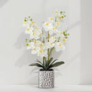 Orchid Artificial Flowers with Sliver Vase Large Silk Faux Phalaenopsis Flowers for Dining Room Table Floral Centerpieces Indoor Decoration,White by CozyNest Decor