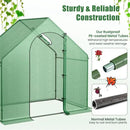 71x40x66 Walk-in Mini Greenhouse Kit for Outdoors with Durable Greenhouse Plastic Cover, 4-Tier Small Green Houses for Outside Gardening & Plant Protection, Portable Indoor Green House by GreenHaven Gardens