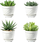 Sureasy Succulent Pots, 3.5 Inch Flower Pots for Indoor Plants, Small Plant Pots with Saucer & Drainage, Decorative Ceramic Planters for Succulent, Cactus, Set of 4, White by GreenHaven Gardens
