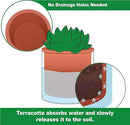 Phoenix Vine 4 Inch Self Watering Plants Pot, Design Terracotta Pot for Plants, Indoor Cylinder Terra Cotta Planter with Glass Vase, Set of 1, 51-A-E-1 by GreenHaven Gardens