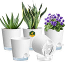 4 inch Self Watering Pots for Indoor Plants, 5 Pack Small Flower Plant Pots with Drainage Holes and Clear Reservoirs, Visible Water Level, Plastic Planters with Wicking Rope, White by GreenHaven Gardens